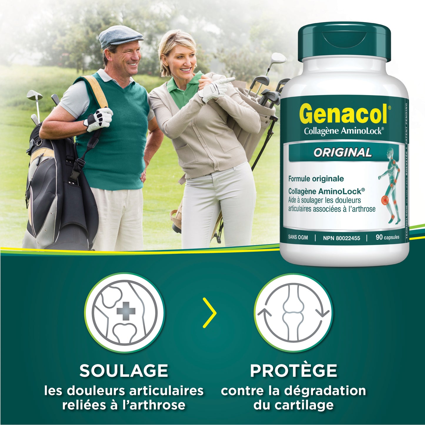 Genacol Original Formula