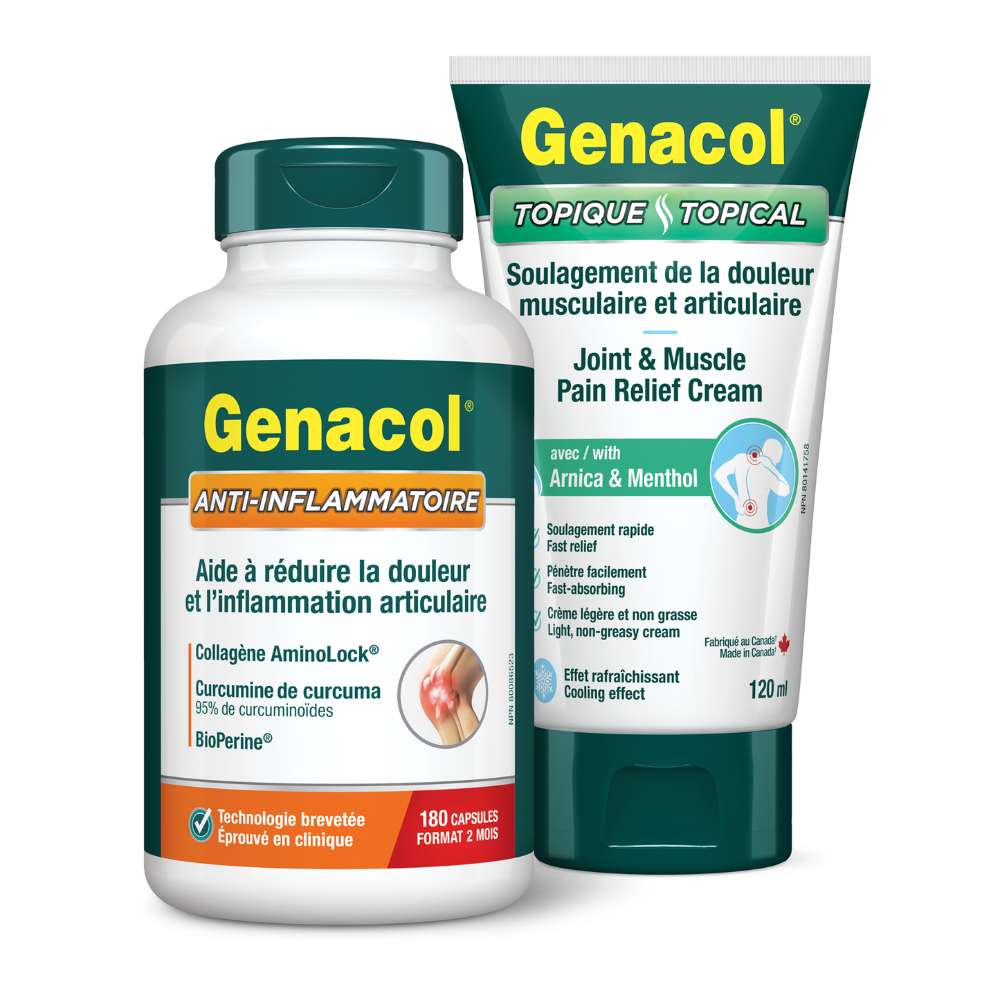 Anti-Inflammatory Duo